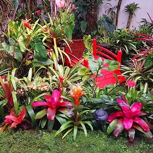 Paradise At Anthurium Hale Homestay